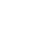 Alt Housing Icon